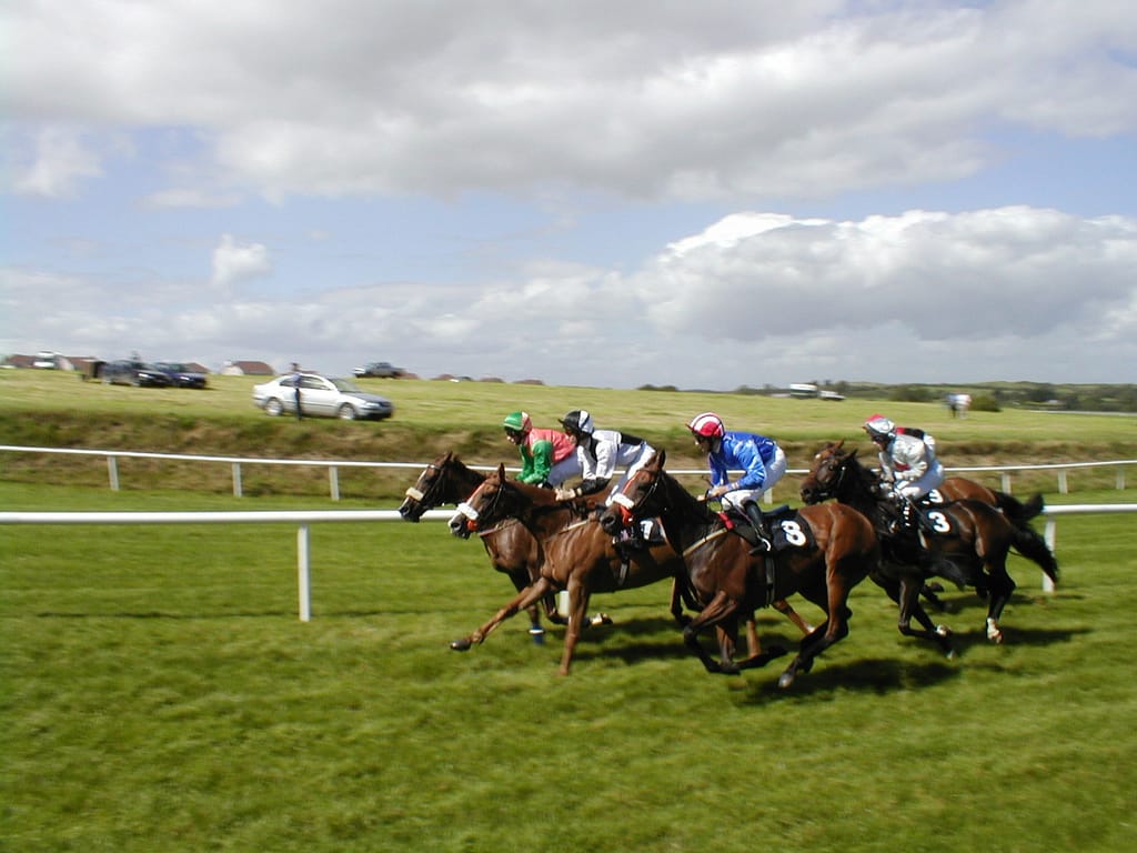 Asistir a carreras caballos en Irlanda