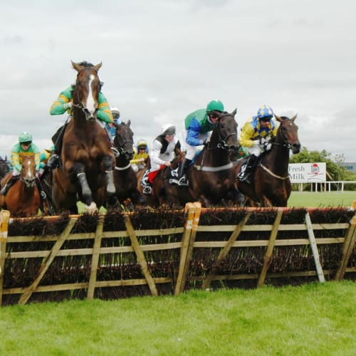 Las carreras de caballos, la atraccion de Galway