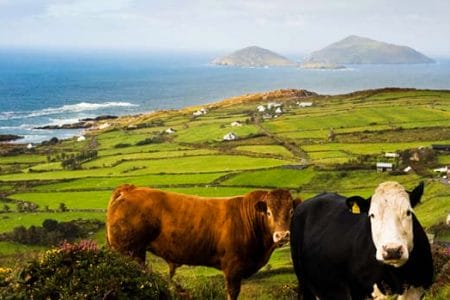 El Anillo de Kerry, una ruta puramente irlandesa