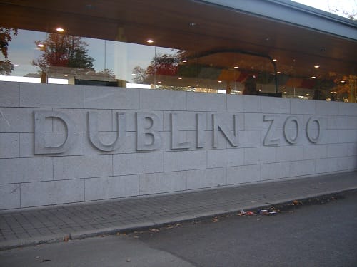 Zoo de Dublín