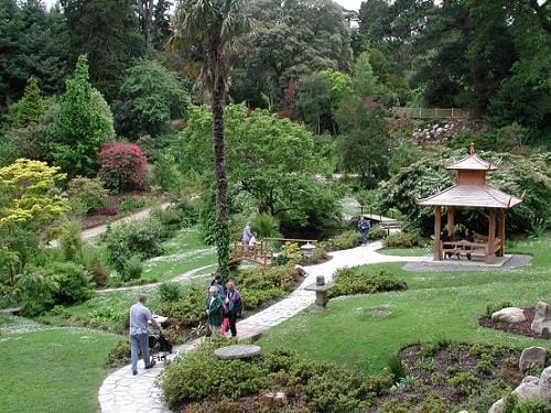 Visitar cuatro jardines puramente irlandeses Visitar cuatro jardines puramente irlandeses
