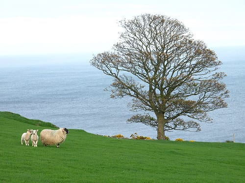 Antrim, mucho más que Belfast Antrim, mucho más que Belfast