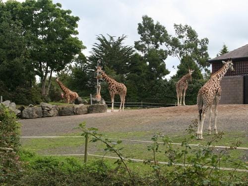 Parques naturales y zoológicos en Irlanda