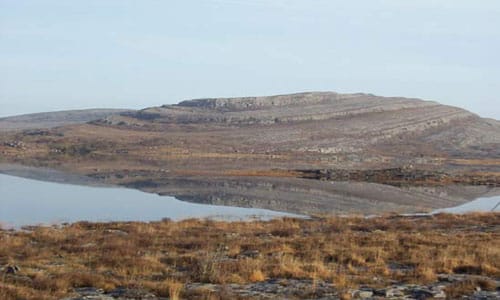 Burren National Park, un espacio de biodiversidad