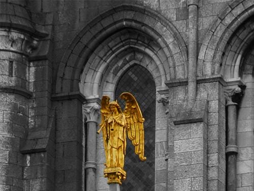 La Catedral de San Finbar en Cork